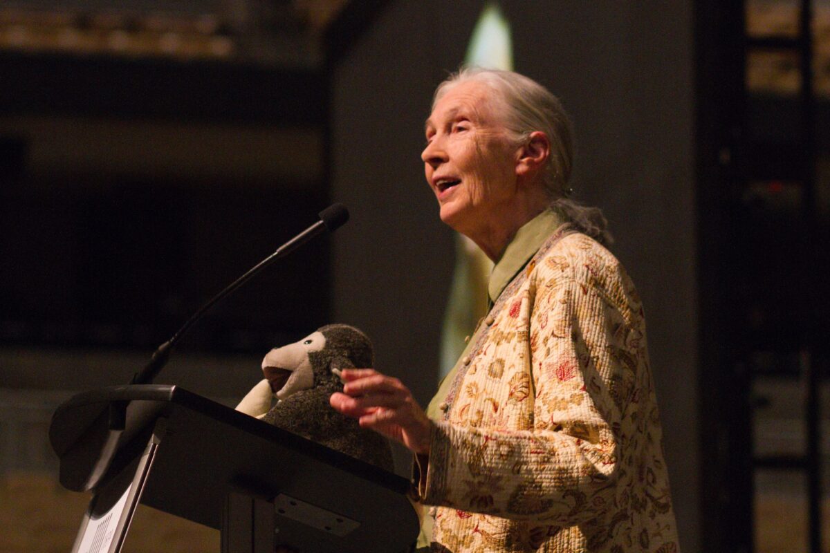 What Jane Goodall Taught Me About Hope, Empathy, and Change
